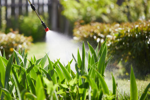 Tamper-Resistant Bait Stations for Rodents in South Lake Tahoe